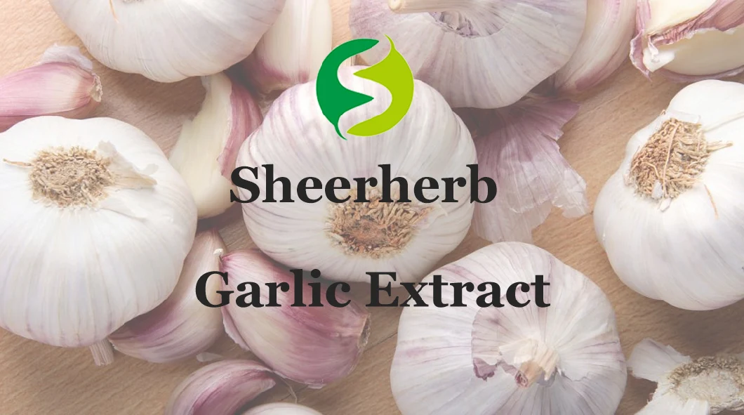 product-1060px-1 Free Sample Best Garlic Extract CAS 539-86-6 Deodorized Garlic Extract Powder