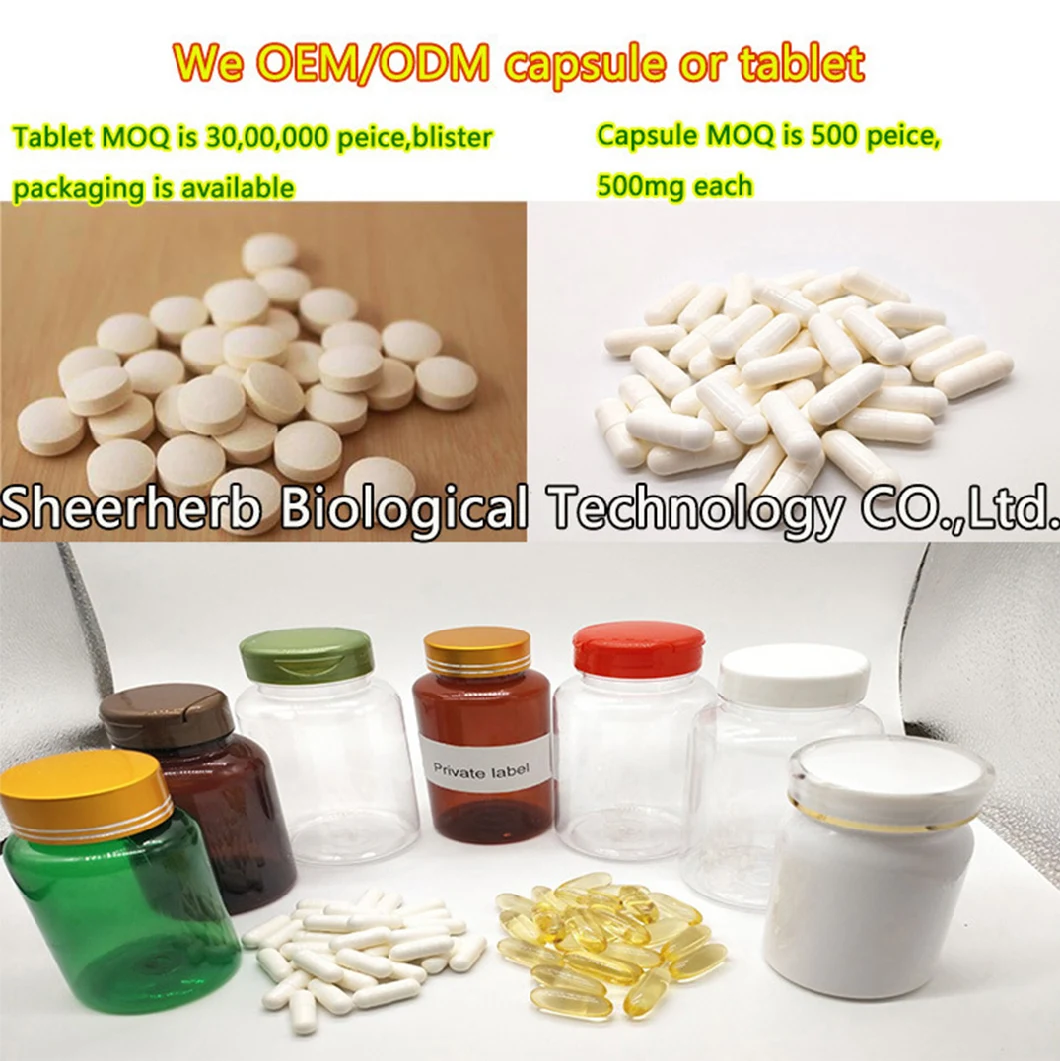 product-1060px-1 Free Sample Best Garlic Extract CAS 539-86-6 Deodorized Garlic Extract Powder