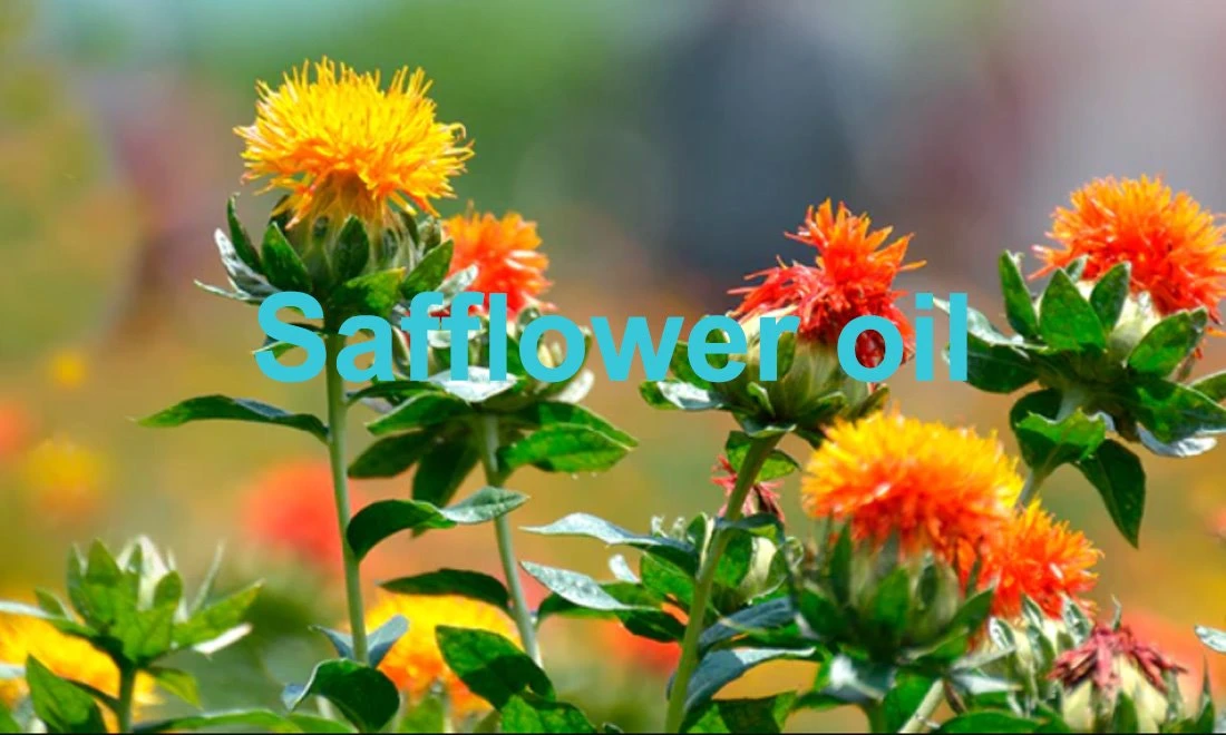 product-1100-660 best Safflower oil 2
