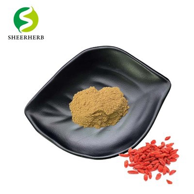 Polvo de baya de goji