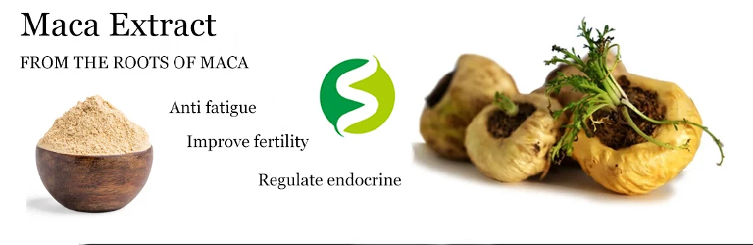 Hight Quality Maca Root Extract Powder Organic Maca Powder