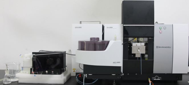 development quality inspection team 