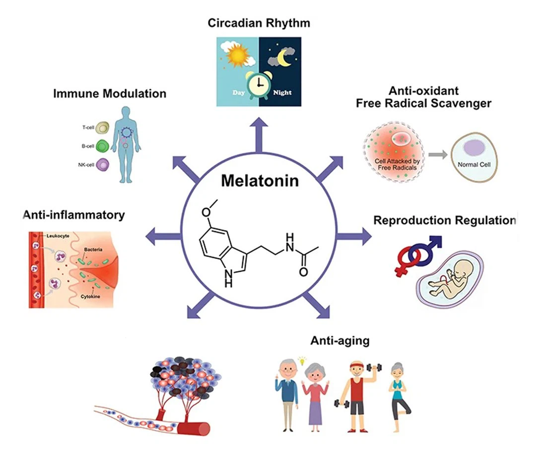 Melatonin 12