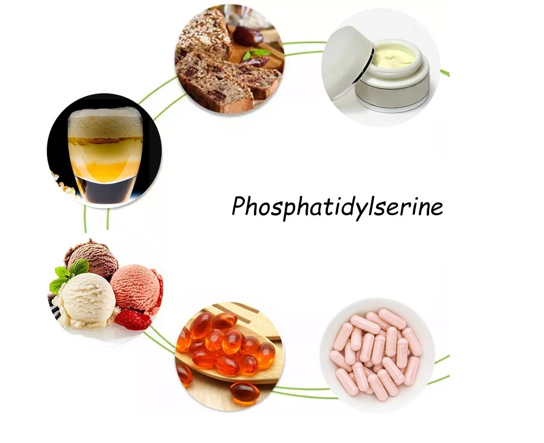 Phosphatidylserine(Ps) 6