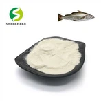 Colágeno puro de pescado en polvo