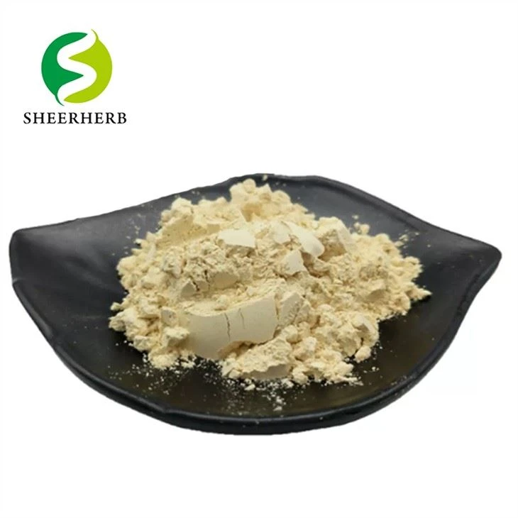 Extracto de hoja de olivo