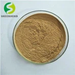 Polvo de extracto de maca