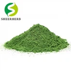 Polvo de extracto de hoja de Moringa