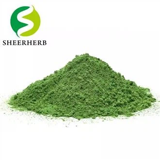Polvo de moringa
