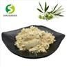 Olive Leaf Extract