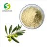 Olive Leaf Extract
