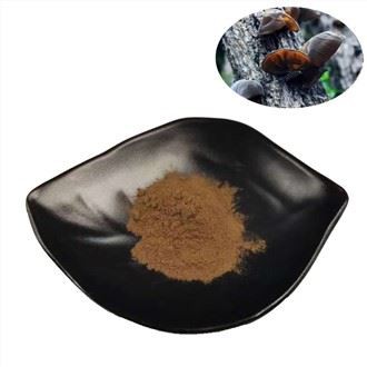 Oyster Mushroom Extract