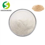 Polvo de cáscara de psyllium