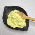 polvo de rutina