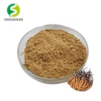 Polvo de hongo Cordyceps
