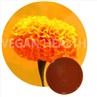 Marigold Extract Lutein