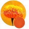 Marigold Extract Lutein